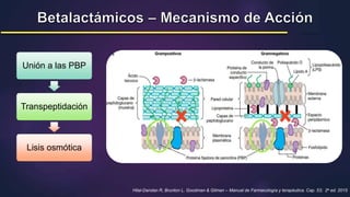 Hilal-Dandan R, Brunton L. Goodman & Gilman – Manual de Farmacología y terapéutica. Cap. 53; 2a ed. 2015
Unión a las PBP
Transpeptidación
Lisis osmótica
 