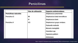 Seija V, Vignoli R. Principales Grupos de Antibióticos. Temas de Bacteriología y Virología médica.
 