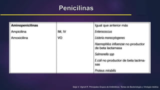 Seija V, Vignoli R. Principales Grupos de Antibióticos. Temas de Bacteriología y Virología médica.
 