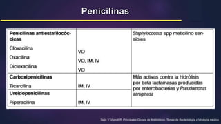 Seija V, Vignoli R. Principales Grupos de Antibióticos. Temas de Bacteriología y Virología médica.
 