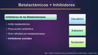 Seija V, Vignoli R. Principales Grupos de Antibióticos. Temas de Bacteriología y Virología médica.
Inhibidores de las Betalactamasas
• Anillo betalactámico
• Poca acción antibiótica
• Gran afinidad por betalactamasas
• Inhibidores suicidas
Clavulánico
Sulbactam
Tazobactam
 