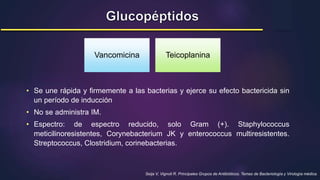 Seija V, Vignoli R. Principales Grupos de Antibióticos. Temas de Bacteriología y Virología médica.
Vancomicina Teicoplanina
• Se une rápida y firmemente a las bacterias y ejerce su efecto bactericida sin
un período de inducción
• No se administra IM.
• Espectro: de espectro reducido, solo Gram (+). Staphylococcus
meticilinoresistentes, Corynebacterium JK y enterococcus multiresistentes.
Streptococcus, Clostridium, corinebacterias.
 