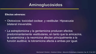 • Ototoxicos: toxicidad coclear, y vestibular. Hipoacusia
bilateral irreversible.
• La estreptomicina y la gentamicina producen efectos
predominantemente vestibulares, en tanto que la amicacina,
la canamicina y la neomicina afectan principalmente a la
función auditiva; la tobramicina afecta a ambas por igual.
Hilal-Dandan R, Brunton L. Goodman & Gilman – Manual de Farmacología y terapéutica. Cap. 54; 2a ed. 2015
Efectos adversos:
 