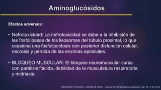 • Nefrotoxicidad: La nefrotoxicidad se debe a la inhibición de
las fosfolipasas de los lisosomas del túbulo proximal, lo que
ocasiona una fosfolipoidosis con posterior disfunción celular,
necrosis y pérdida de las enzimas epiteliales.
• BLOQUEO MUSCULAR: El bloqueo neuromuscular cursa
con parálisis flácida, debilidad de la musculatura respiratoria
y midriasis.
Hilal-Dandan R, Brunton L. Goodman & Gilman – Manual de Farmacología y terapéutica. Cap. 54; 2a ed. 2015
Efectos adversos:
 