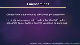 • Clindamicina: tratamiento de infecciones por anaerobios.
• La clindamicina se une sólo con la subunidad 50S de los
ribosomas bacte- rianos y suprime la síntesis de proteínas
Hilal-Dandan R, Brunton L. Goodman & Gilman – Manual de Farmacología y terapéutica. Cap. 54; 2a ed. 2015
 