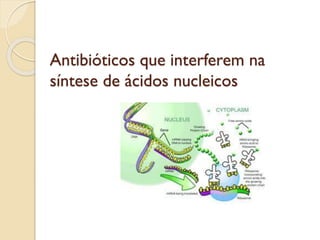 Antibióticos que interferem na
síntese de ácidos nucleicos
 