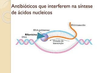 Antibióticos que interferem na síntese
de ácidos nucleicos
Rifamicina
 