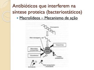Antibióticos que interferem na
síntese proteica (bacteriostáticos)
 Macrolídeos – Mecanismo de ação
 