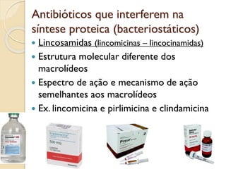 Antibióticos que interferem na
síntese proteica (bacteriostáticos)
 Lincosamidas (lincomicinas – lincocinamidas)
 Estrutura molecular diferente dos
macrolídeos
 Espectro de ação e mecanismo de ação
semelhantes aos macrolídeos
 Ex. lincomicina e pirlimicina e clindamicina
 