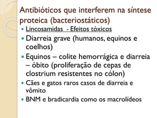 Antibióticos que interferem na síntese
proteica (bacteriostáticos)
 Lincosamidas - Efeitos tóxicos
 Diarreia grave (humanos, equinos e
coelhos)
 Equinos – colite hemorrágica e diarreia
– óbito (proliferação de cepas de
clostrium resistentes no cólon)
 Cães e gatos raros casos de diarreia e
vômito
 BNM e bradicardia como os macrolídeos
 