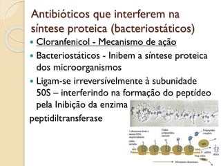 Antibióticos que interferem na
síntese proteica (bacteriostáticos)
 Cloranfenicol - Mecanismo de ação
 Bacteriostáticos - Inibem a síntese proteica
dos microorganismos
 Ligam-se irreversívelmente à subunidade
50S – interferindo na formação do peptídeo
pela Inibição da enzima
peptidiltransferase
 