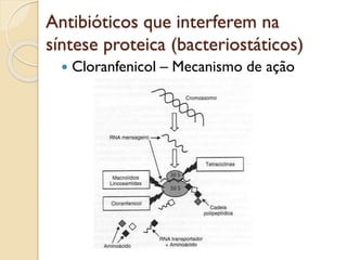 Antibióticos que interferem na
síntese proteica (bacteriostáticos)
 Cloranfenicol – Mecanismo de ação
 