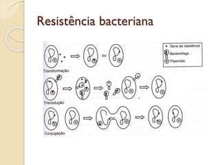 Resistência bacteriana
 