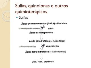 Sulfas, quinolonas e outros
quimioterápicos
 Sulfas
 