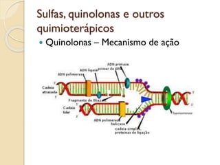Sulfas, quinolonas e outros
quimioterápicos
 Quinolonas – Mecanismo de ação
 