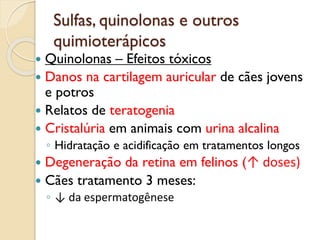 Sulfas, quinolonas e outros
quimioterápicos
 Quinolonas – Efeitos tóxicos
 Danos na cartilagem auricular de cães jovens
e potros
 Relatos de teratogenia
 Cristalúria em animais com urina alcalina
◦ Hidratação e acidificação em tratamentos longos
 Degeneração da retina em felinos (↑ doses)
 Cães tratamento 3 meses:
◦ ↓ da espermatogênese
 