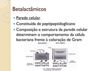 Betalactâmicos
 Parede celular
 Constituída de peptipeptidoglicano
 Composição e estrutura da parede celular
determinam o comportamento da célula
bacteriana frente à coloração de Gram
 