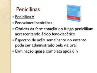 Penicilinas
 PenicilinaV
 Fenoximetilpenicilnas
 Obtidas da fermentação do fungo penicillium
acrescentando ácido fenoxiacético
 Espectro de ação semelhante no entanto
pode ser administrado pela via oral
 Eliminação quase completa após 6 h
 