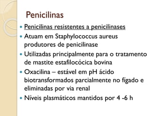 Penicilinas
 Penicilinas resistentes a penicilinases
 Atuam em Staphylococcus aureus
produtores de penicilinase
 Utilizadas principalmente para o tratamento
de mastite estafilocócica bovina
 Oxacilina – estável em pH ácido
biotransformados parcialmente no fígado e
eliminadas por via renal
 Níveis plasmáticos mantidos por 4 -6 h
 