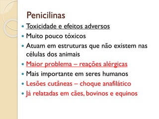 Penicilinas
 Toxicidade e efeitos adversos
 Muito pouco tóxicos
 Atuam em estruturas que não existem nas
células dos animais
 Maior problema – reações alérgicas
 Mais importante em seres humanos
 Lesões cutâneas – choque anafilático
 Já relatadas em cães, bovinos e equinos
 