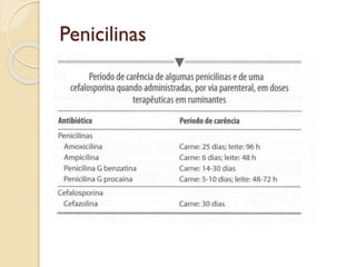 Penicilinas
 