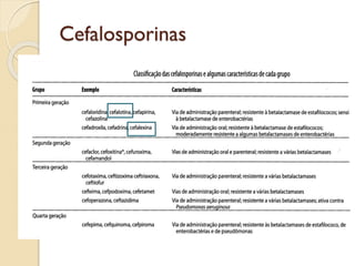 Cefalosporinas
 