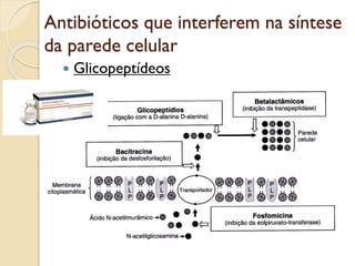 Antibióticos que interferem na síntese
da parede celular
 Glicopeptídeos
 