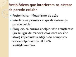 Antibióticos que interferem na síntese
da parede celular
 Fosfomicina - Mecanismo de ação
 Interfere na primeira etapa da síntese da
parede celular
 Bloqueio da enzima enolpiruvato transferase
(ao se ligar de maneira covalente ao sítio
ativo) impedindo a adição do composto
fosfoenolpiruvato à UDP-N-
acetilglicosamina
 
