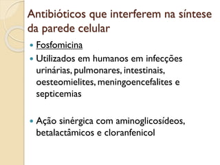 Antibióticos que interferem na síntese
da parede celular
 Fosfomicina
 Utilizados em humanos em infecções
urinárias, pulmonares, intestinais,
oesteomielites, meningoencefalites e
septicemias
 Ação sinérgica com aminoglicosídeos,
betalactâmicos e cloranfenicol
 