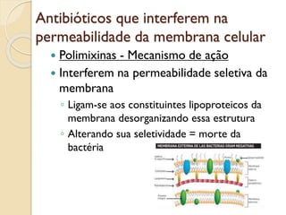 Antibióticos que interferem na
permeabilidade da membrana celular
 Polimixinas - Mecanismo de ação
 Interferem na permeabilidade seletiva da
membrana
◦ Ligam-se aos constituintes lipoproteicos da
membrana desorganizando essa estrutura
◦ Alterando sua seletividade = morte da
bactéria
 