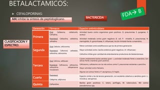  CEFALOPORINAS:
BETALACTAMICOS:
MA: inhibe la síntesis de peptidoglicano. BACTERICIDA
CLASIFICACION Y
ESPECTRO:
Generación Fármacos Espectro antimicrobiano
Primera
Oral: Cefalexina, cefadroxilo,
Cefradina,.
Parenteral: Cefazolina, cefalotina,
cefradina.
Actividad buena contra organismos gram positivos. (S. pneumoniae, S. pyogenes, S.
aureus)
Actividad moderada contra gram negativos (E. coli, P. mirabilis, K. pneumoniae, N.
meningitidis, N. gonorrhoeae, H. influenzae). Acción limitada frente a anaerobios.
Segunda
Oral: Cefaclor, cefuroxima.
Parenteral: Cefonicid, cefotetán,
cefoxitina, cefuroxima.
Menor actividad contra estafilococos que las de primera generación.
Mayor actividad contra bacilos entéricos gram negativos. (H. influenzae.)
Cefoxitina inhibe gran cantidad de enterobacterias productoras de betalactamasas.
Tercera
Oral: Cefixima, ceftibuten
Parenteral: Ceftriaxona, cefotaxima,
ceftazidima, cefoperazona
moxalactam.
Cubren ampliamente bacilos aerobios gram – y actividad moderada frente a anaerobios. Son
activas frente a bacterias gram positivas.
Ceftriaxona y cefotaxima son las más activas contra S. pneumoniae resistentes a penicilina.
Mayor actividad contra Neisseria.
Algunas son activas frente a P. aeuriginosa y B. fragilis.
Cuarta
Parenteral:
Cefepime, cefpiroma
Espectro similar a las de tercera generación, con excelente cobertura a aerobios gram (-),
incluida p. aeruginosa.
Quinta Ceftaroline.
Bacilos gram positivos: C. teteni, perfinges, M. tuberculosis. NO contra
pseudomonas spp.
 