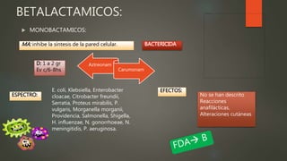  MONOBACTAMICOS:
BETALACTAMICOS:
MA: inhibe la síntesis de la pared celular. BACTERICIDA
Aztreonam
Carumonam
ESPECTRO:
E. coli, Klebsiella, Enterobacter
cloacae, Citrobacter freundii,
Serratia, Proteus mirabilis, P.
vulgaris, Morganella morganii,
Providencia, Salmonella, Shigella,
H. influenzae, N. gonorrhoeae, N.
meningitidis, P. aeruginosa.
EFECTOS:
No se han descrito
Reacciones
anafilácticas,
Alteraciones cutáneas
D: 1 a 2 gr
Ev c/6-8hs
 