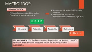 MACROLIDOS:
FARMACOCINETICA:
 Concentraciones plasmáticas varían.
 Atraviesa la barrera placentaria
 Eritromicina: CP fetales 5 al 20% de las
maternas.
 Claritromicina, Azitromicina
Roxitromicina: CP fetales son bajas 4,3%.
Eritromicina Azitromicina Roxitromicina Claritromicina
FDA B
FDA C
Mecanismo de acción: Inhiben la síntesis de proteínas bacterianas por unión
reversible a la subunidad ribosomal 50s de los microorganismos
susceptibles.
 