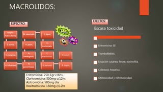 MACROLIDOS:
ESPECTRO:
EFECTOS:
Amplio.
Activos frente:
S. aureus,
S. pyogenes,
H. influenzae,
N,
gonorrhoeae,
N.
meningitidis,
H. pylori,
M. catarrhalis, C. jejuni,
C.
trachomatis,
C.
pneumoniae,
B. pertussis , B. fragilis,
M. avium.
Escasa toxicidad
Eritromicina: GI
Tromboflebitis.
Erupción cutánea, fiebre, eosinofilia.
Colestasis hepática.
Ototoxicidad y nefrotoxicidad.
Eritromicina: 250-1gr c/6hs
Claritromicina: 500mg c/12hs
Azitromicina: 500mg día
Roxitromicina: 150mg c/12hs
 
