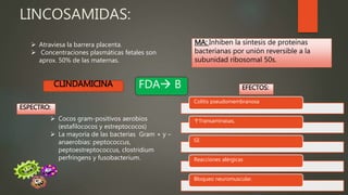 LINCOSAMIDAS:
MA: Inhiben la síntesis de proteínas
bacterianas por unión reversible a la
subunidad ribosomal 50s.
 Atraviesa la barrera placenta.
 Concentraciones plasmáticas fetales son
aprox. 50% de las maternas.
CLINDAMICINA FDA B
ESPECTRO:
EFECTOS:
 Cocos gram-positivos aerobios
(estafilococos y estreptococos)
 La mayoría de las bacterias Gram + y –
anaerobias: peptococcus,
peptoestreptococcus, clostridium
perfringens y fusobacterium.
Colitis pseudomembranosa
↑Transaminasas,
GI
Reacciones alérgicas
Bloqueo neuromuscular.
 