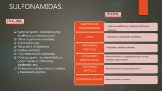 SULFONAMIDAS:
EFECTOS:
ESPECTRO:
 Bacterias gram+ (estreptococos,
estafilococo y neumococos)
 Otros organismos sensibles:
 Actinimyces spp
 Nocardia e histoplasma
 Bacillus anthracis
 Corynebacterium diphteriae
 Diversos gram – (n. meninitidis, n.
gonorrhoeae, h. influenzae,
bordetella, etc).
 Protozoarios (plasmodium malariae
y toxoplasma gondii).
• Eritemas leves a dermatitis necrotizante,
eritema multiforme, síndrome de Steven
Johnson.
REACCIONES DE
HIPERSENSIBILIDAD:
• Vasculitis y reacciones sistémicasOTRAS:
• Náuseas, vómitos, diarrea.
TRASTORNOS
DIGESTIVOS:
•Anemia hemolítica, A. megaloblástica (por su acción
antifólica), Aplasia medular.
ALTERACIONES
HEMATOLÓGICAS:
•Alteraciones leves a necrosis hepatocítica.
TRASTORNOS
HEPÁTICOS:
•Obstrucción de la vía urinariaALTERACIONES RENALES:
 