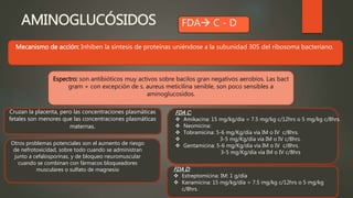 AMINOGLUCÓSIDOS FDA C - D
Mecanismo de acción: Inhiben la síntesis de proteínas uniéndose a la subunidad 30S del ribosoma bacteriano.
Espectro: son antibióticos muy activos sobre bacilos gran negativos aerobios. Las bact
gram + con excepción de s. aureus meticilina senible, son poco sensibles a
aminoglucosidos.
Cruzan la placenta, pero las concentraciones plasmáticas
fetales son menores que las concentraciones plasmáticas
maternas.
FDA D:
 Estreptomicina: IM: 1 g/día
 Kanamicina: 15 mg/kg/día = 7.5 mg/kg c/12hrs o 5 mg/kg
c/8hrs.
FDA C:
 Amikacina: 15 mg/kg/día = 7.5 mg/kg c/12hrs o 5 mg/kg c/8hrs.
 Neomicina:
 Tobramicina: 5-6 mg/Kg/día vía IM o IV c/8hrs.
 3-5 mg/Kg/día vía IM o IV c/8hrs.
 Gentamicina: 5-6 mg/Kg/día vía IM o IV c/8hrs.
3-5 mg/Kg/día vía IM o IV c/8hrs
Otros problemas potenciales son el aumento de riesgo
de nefrotoxicidad, sobre todo cuando se administran
junto a cefalosporinas, y de bloqueo neuromuscular
cuando se combinan con fármacos bloqueadores
musculares o sulfato de magnesio
 
