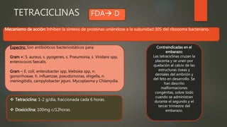 TETRACICLINAS
Contraindicadas en el
embarazo:
Las tetraciclinas cruzan la
placenta y se unen por
quelación al calcio de las
estructuras óseas y
dentales del embrión y
del feto en desarrollo. Se
han descrito
malformaciones
congénitas, sobre todo
cuando se administran
durante el segundo y el
tercer trimestre del
embarazo.
Mecanismo de acción: Inhiben la síntesis de proteínas uniéndose a la subunidad 30S del ribosoma bacteriano.
 Tetraciclina: 1-2 g/día, fraccionada cada 6 horas.
 Doxiciclina: 100mg c/12horas.
FDA D
Espectro: Son antibióticos bacteriostáticos para:
Gram +: S. aureus, s. pyogenes, s. Pneumonia, s. Viridans spp,
enterococos faecalis.
Gram -: E. coli, enterobacter spp, klebsiea spp, n.
gonorrhoeae, h. influenzae, pseudomonas, shigella, n.
meningitidis, campylobacter jejuni. Mycoplasma y Chlamydia.
 
