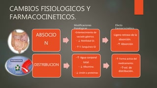 CAMBIOS FISIOLOGICOS Y
FARMACOCINETICOS.
ABSOCIO
N
-Enlentecimiento de
vaciado gástrico.
- ↓ Motilidad GI.
- ↑ F. Sanguíneo GI
-Ligero retraso de la
absorción.
-↑ Absorción
DISTRIBUCION
-↑ Agua corporal
total.
- ↓ Albumina.
- ↓ Unión a proteinas
-↑ Forma activa del
medicamento.
-↑vol. de
distribución.
Modificaciones
Fisiológicas
Efecto
Farmacocinético
 