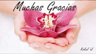 Antibióticos en el embarazo 