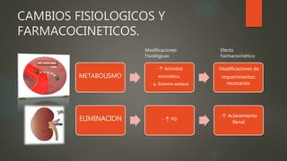 CAMBIOS FISIOLOGICOS Y
FARMACOCINETICOS.
METABOLISMO
-↑ Actividad
enzimática.
- ↓ Sistema oxidasa
-Modificaciones de
requerimientos
necesarios
ELIMINACION - ↑ FG
-↑ Aclaramiento
Renal
Modificaciones
Fisiológicas
Efecto
Farmacocinético
 