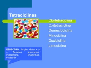 Tetraciclinas
Clortetraciclina
Oxitetraciclina
Demeclociclina
Minociclina
Doxiciclina
Limeciclina
ESPECTRO: Amplio, Gram + y
– Aerobios, anaerobios,
micoplasma, chlamydias,
rickettsias
 