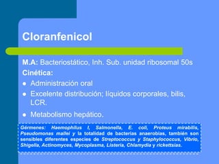 Cloranfenicol
M.A: Bacteriostático, Inh. Sub. unidad ribosomal 50s
Cinética:
 Administración oral
 Excelente distribución; líquidos corporales, bilis,
LCR.
 Metabolismo hepático.
Gérmenes: Haemophilus I, Salmonella, E. coli, Proteus mirabilis,
Pseudomonas mallei y la totalidad de bacterias anaerobias, también son
sensibles diferentes especies de Streptococcus y Staphylococcus, Vibrio,
Shigella, Actinomyces, Mycoplasma, Listeria, Chlamydia y rickettsias.
 