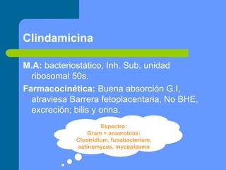 Clindamicina
M.A: bacteriostático, Inh. Sub. unidad
ribosomal 50s.
Farmacocinética: Buena absorción G.I,
atraviesa Barrera fetoplacentaria, No BHE,
excreción; bilis y orina.
Espectro:
Gram + anaerobios:
Clostridium, fusobacterium,
actinomyces, mycoplasma
 