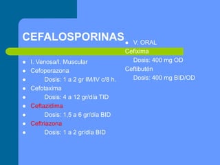 CEFALOSPORINAS
 I. Venosa/I. Muscular
 Cefoperazona
 Dosis: 1 a 2 gr IM/IV c/8 h.
 Cefotaxima
 Dosis: 4 a 12 gr/día TID
 Ceftazidima
 Dosis: 1,5 a 6 gr/día BID
 Ceftriazona
 Dosis: 1 a 2 gr/día BID
 V. ORAL
Cefixima
Dosis: 400 mg OD
Ceftibutén
Dosis: 400 mg BID/OD
 