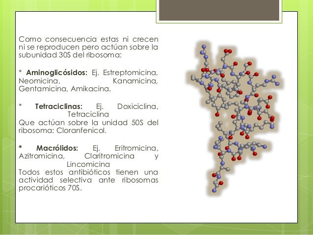 Antibioticos En El Embarazo Sca