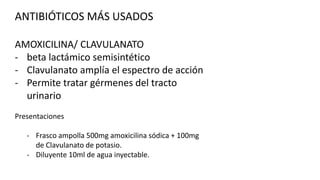 ANTIBIÓTICOS MÁS USADOS
AMOXICILINA/ CLAVULANATO
- beta lactámico semisintético
- Clavulanato amplía el espectro de acción
- Permite tratar gérmenes del tracto
urinario
Presentaciones
- Frasco ampolla 500mg amoxicilina sódica + 100mg
de Clavulanato de potasio.
- Diluyente 10ml de agua inyectable.

 