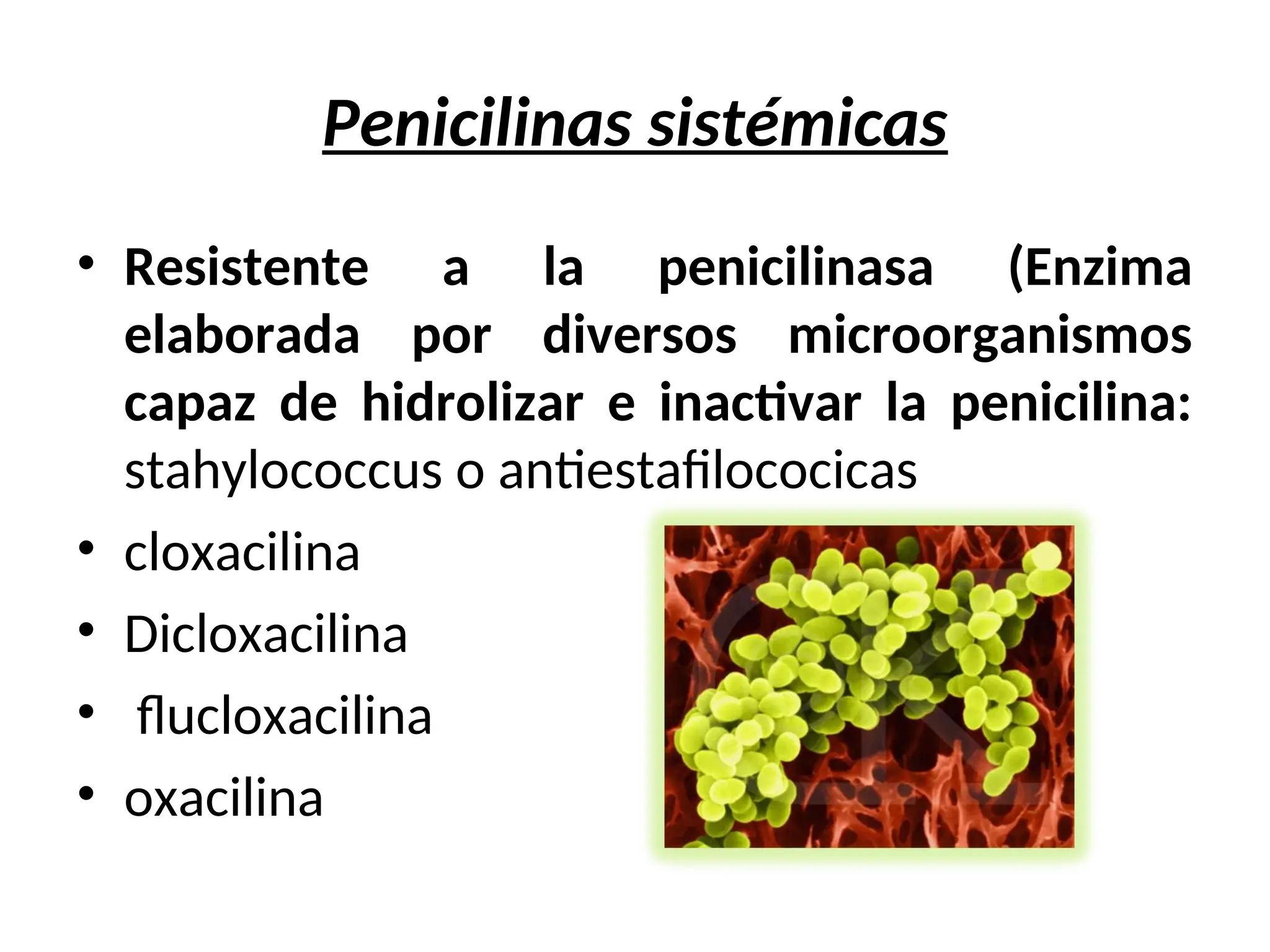 Penicilinas sistémicas
• Resistente a la penicilinasa (Enzima
elaborada por diversos microorganismos
capaz de hidrolizar e inactivar la penicilina:
stahylococcus o antiestafilococicas
• cloxacilina
• Dicloxacilina
• flucloxacilina
• oxacilina
 