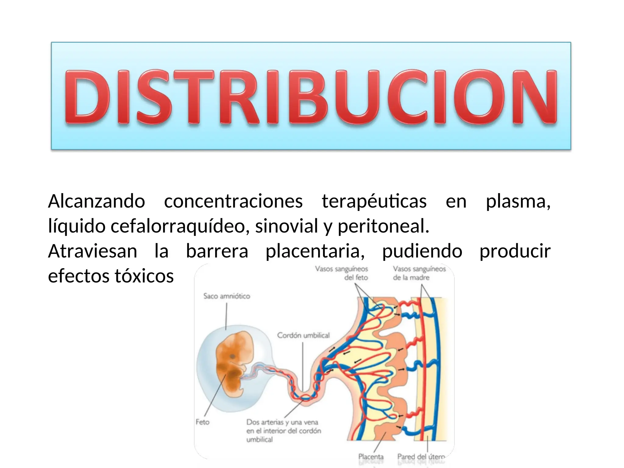 Alcanzando concentraciones terapéuticas en plasma,
líquido cefalorraquídeo, sinovial y peritoneal.
Atraviesan la barrera placentaria, pudiendo producir
efectos tóxicos
 