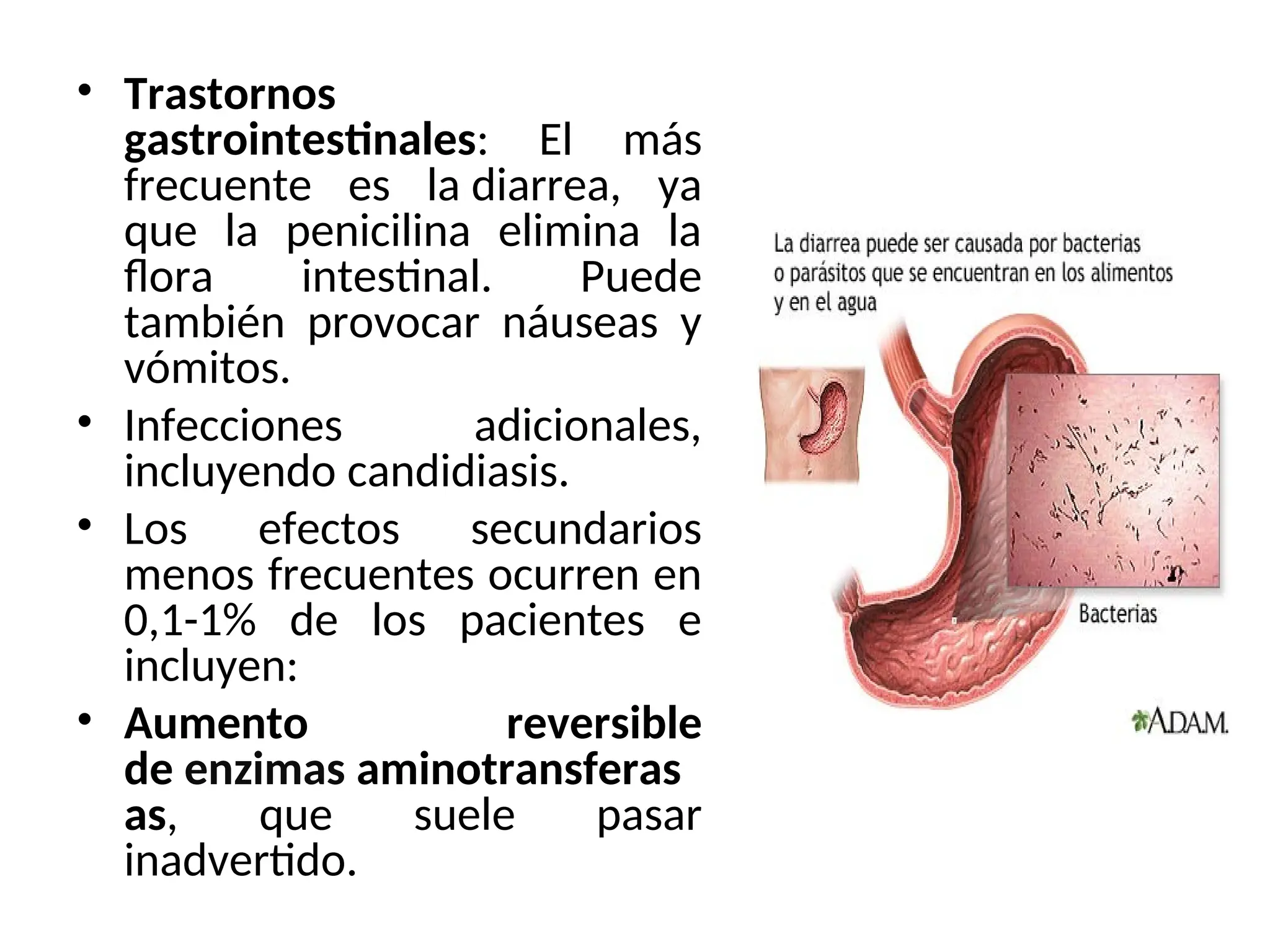 • Trastornos
gastrointestinales: El más
frecuente es la diarrea, ya
que la penicilina elimina la
flora intestinal. Puede
también provocar náuseas y
vómitos.
• Infecciones adicionales,
incluyendo candidiasis.
• Los efectos secundarios
menos frecuentes ocurren en
0,1-1% de los pacientes e
incluyen:
• Aumento reversible
de enzimas aminotransferas
as, que suele pasar
inadvertido.
 